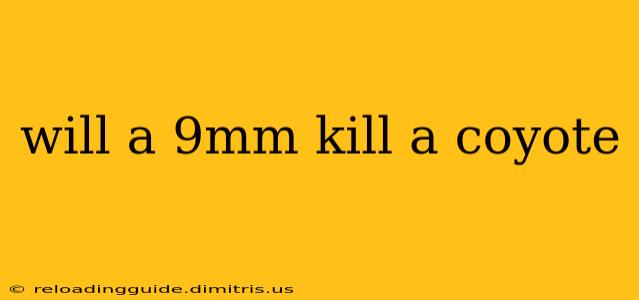 will a 9mm kill a coyote