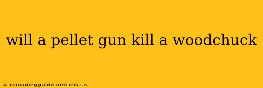 will a pellet gun kill a woodchuck