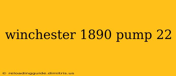 winchester 1890 pump 22