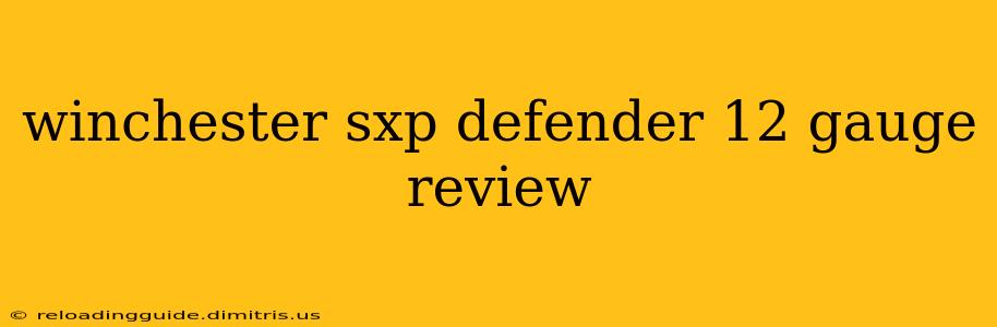 winchester sxp defender 12 gauge review