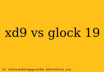 xd9 vs glock 19